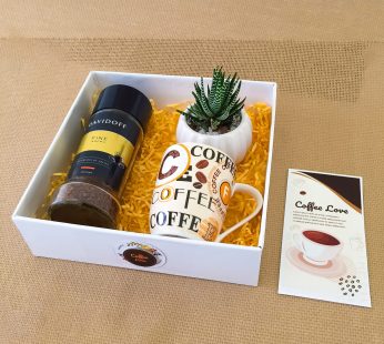 Adorable Birthday gift hamper with David-off coffee-pot with plant, mug and a sweet greetings.