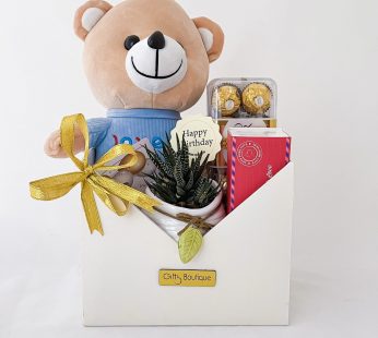 Charming Birthday gift hamper with Soft toy, Macrons, Chocolates, Plant with pot And Cards