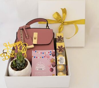 Useful gift for sister on her birthday includes sling bag, mini plant, and greetings