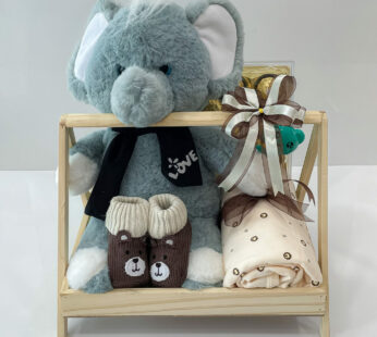 Kisses & Cuddles Gift Hamper For Newborn Babies filled with soft toy, towel, and more