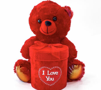Mr Cuddles Valentine’s Day Special Red Teddy Bear With A Pouch Of Chocolates