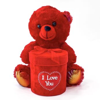 Mr Cuddles Valentine’s Day Special Red Teddy Bear With A Pouch Of Chocolates