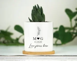Personalised Pot with Plant
