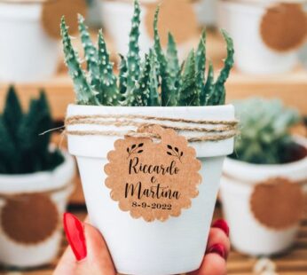 return gift ideas for wedding with a minimal indoor plant (H 9cm x W 6cm) x 30 pcs