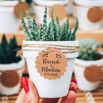 return gift ideas for wedding with a minimal indoor plant (H 9cm x W 6cm) x 30 pcs