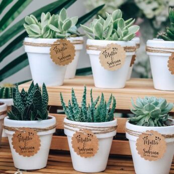 Personalized wedding return gifts with a name-tagged succulent plant x (30 pcs)