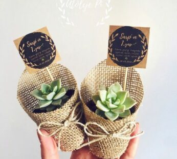 Thoughtful wedding return gifts with a custom message tag and minimal plant (H 13 x W 6cm) x 30 pcs