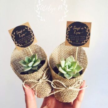 Thoughtful wedding return gifts with a custom message tag and minimal plant (H 13 x W 6cm) x 30 pcs