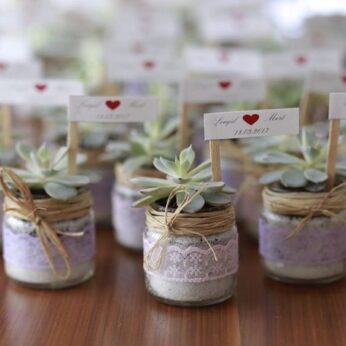 Unique wedding return gifts with a minimal plant with a custom name tag x (30 pcs)