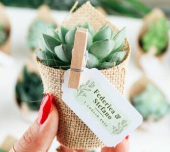 jute wrap with succulent plant for wedding return gift (H 10 x W 6cm) x 30 pcs