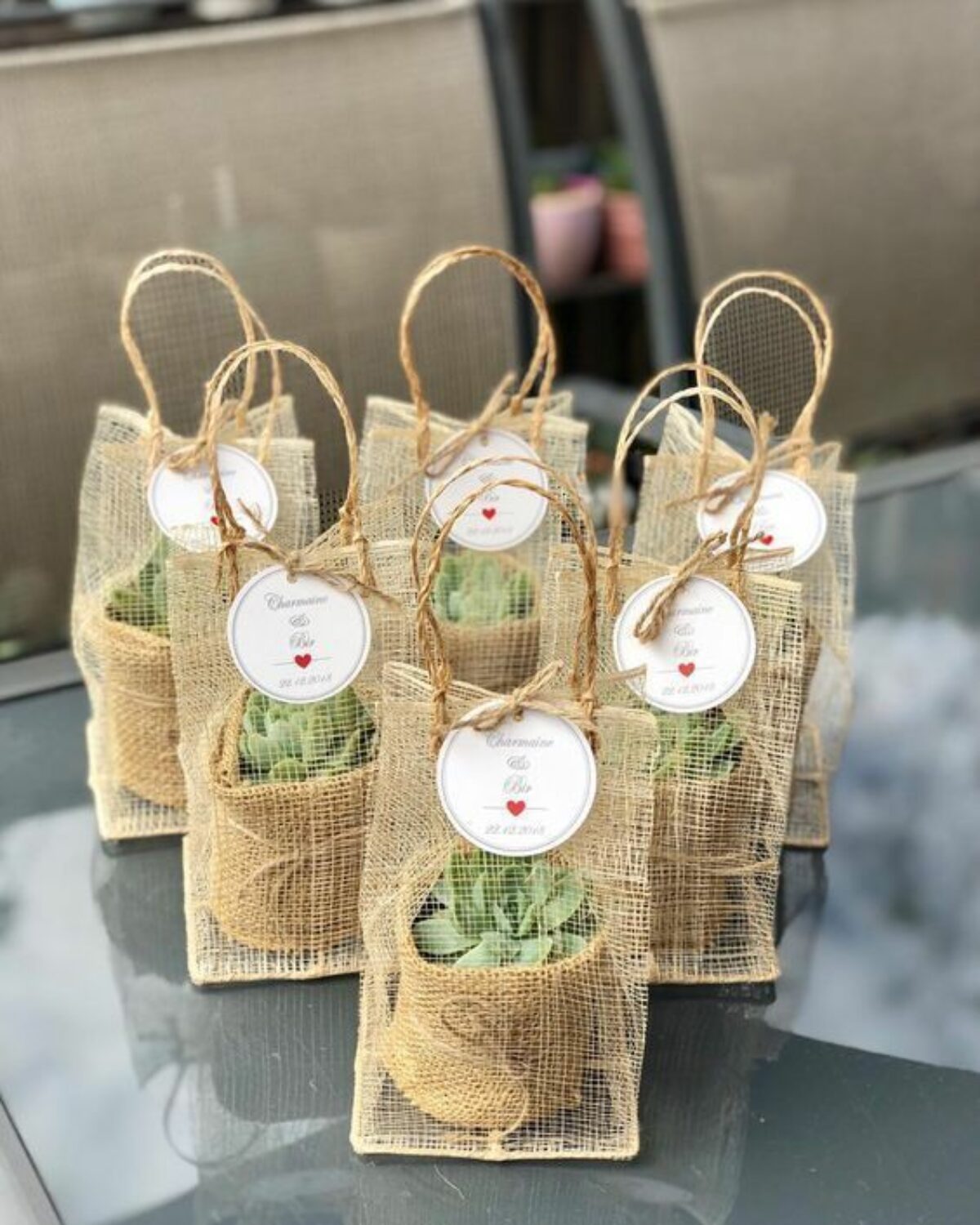 Succulent plant with jute bag for wedding return gift