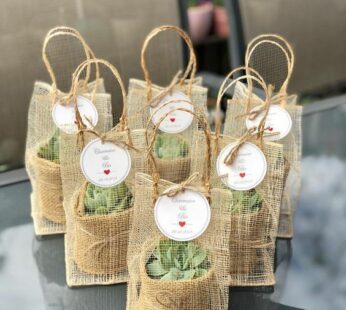 Elegant succulent indoor plant with jute bag for wedding return gift (H 11 cm x W 7 cm) x 30 pcs