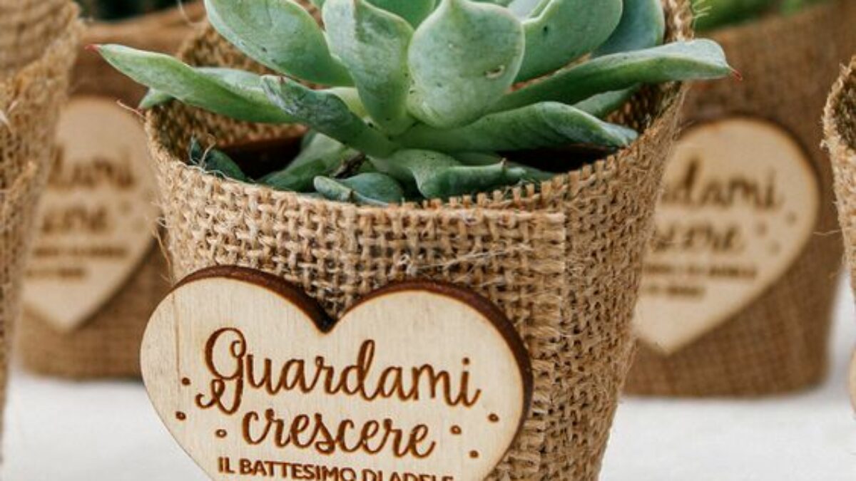 Succulent plant with jute return gift