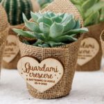 plant ideas for return gifts