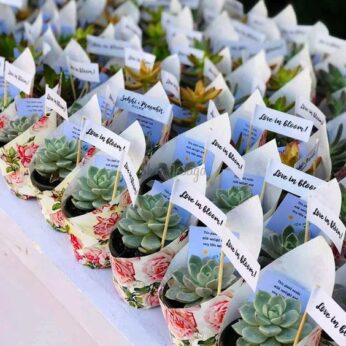 Enchanting succulent plants with personal messages for wedding return gifts (30 Pcs)