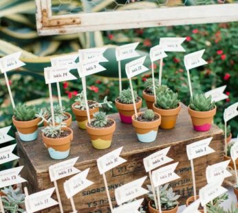 Thoughtful wedding return gifts ideas with personalize text flags in an indoor plant (30 Pcs)