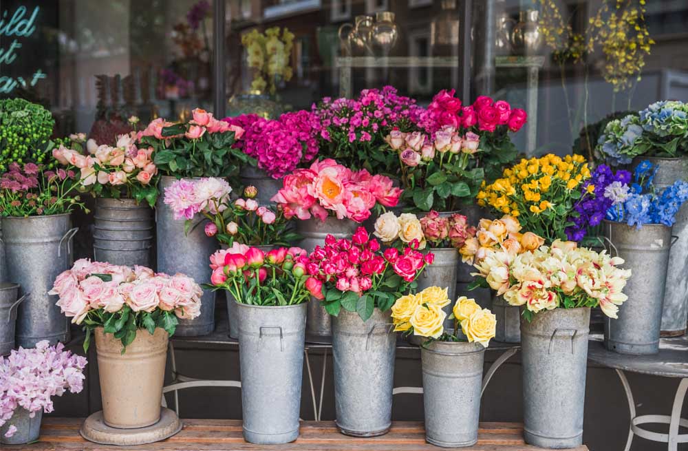 Blooms Beyond Boundaries: Your Ultimate Floral Haven at Angroos – Your Go-To Flower Shop Near Me