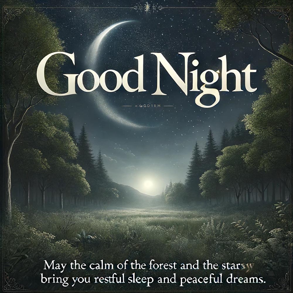 serene good night wish image featuring a tranquil forest glade under a starry night sky India's Favourite Online Gift Shop